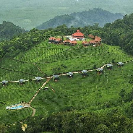 Wild Planet Jungle Resort Devāla Eksteriør billede