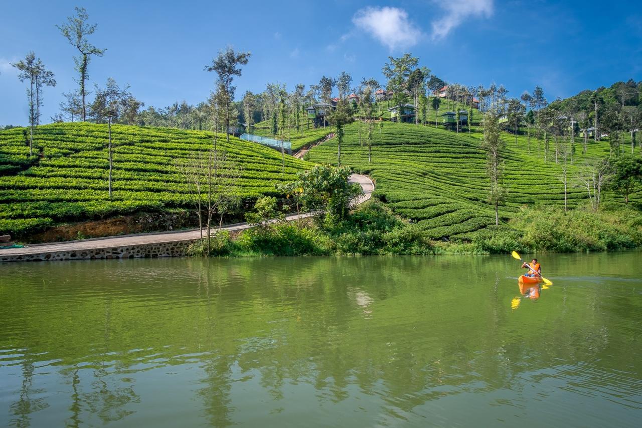 Wild Planet Jungle Resort Devāla Eksteriør billede