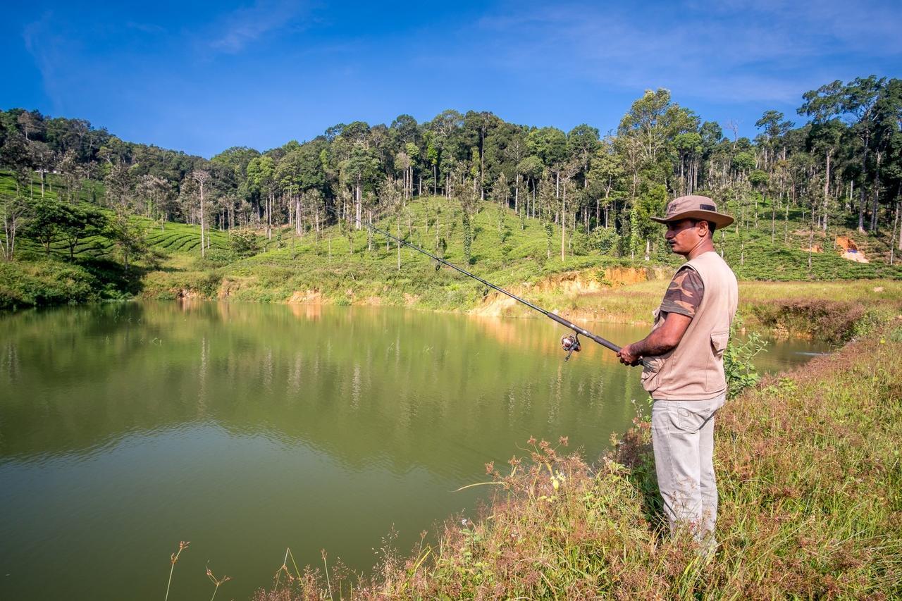 Wild Planet Jungle Resort Devāla Eksteriør billede