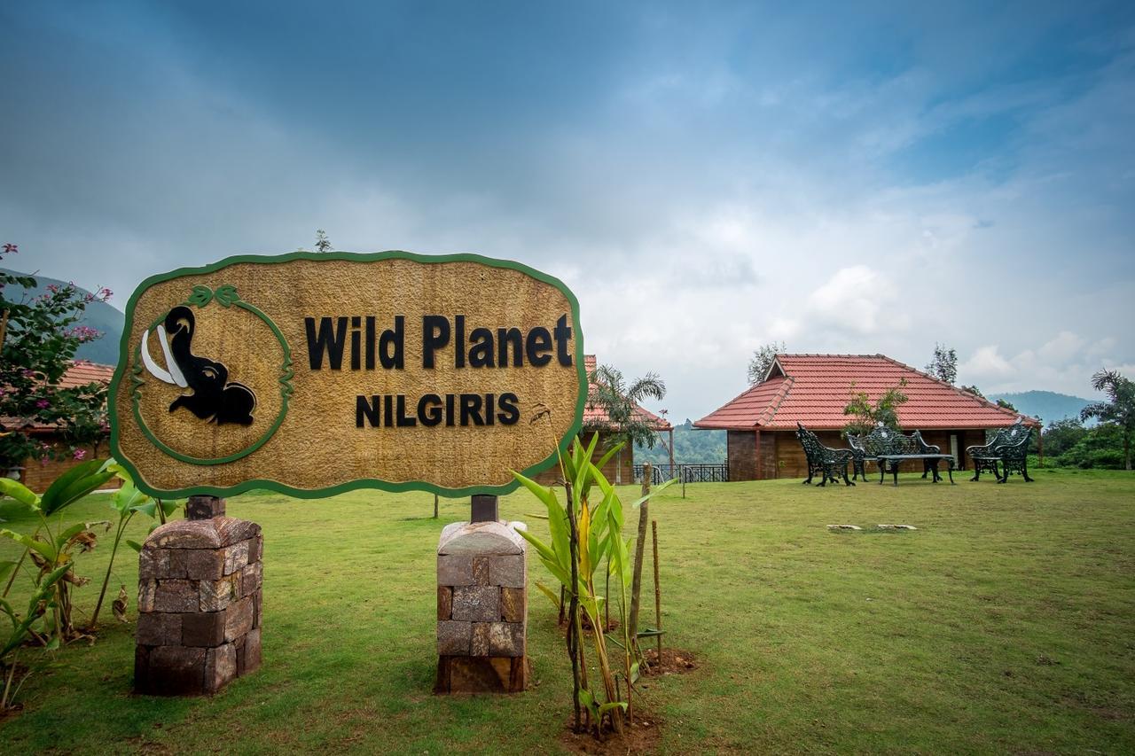 Wild Planet Jungle Resort Devāla Eksteriør billede