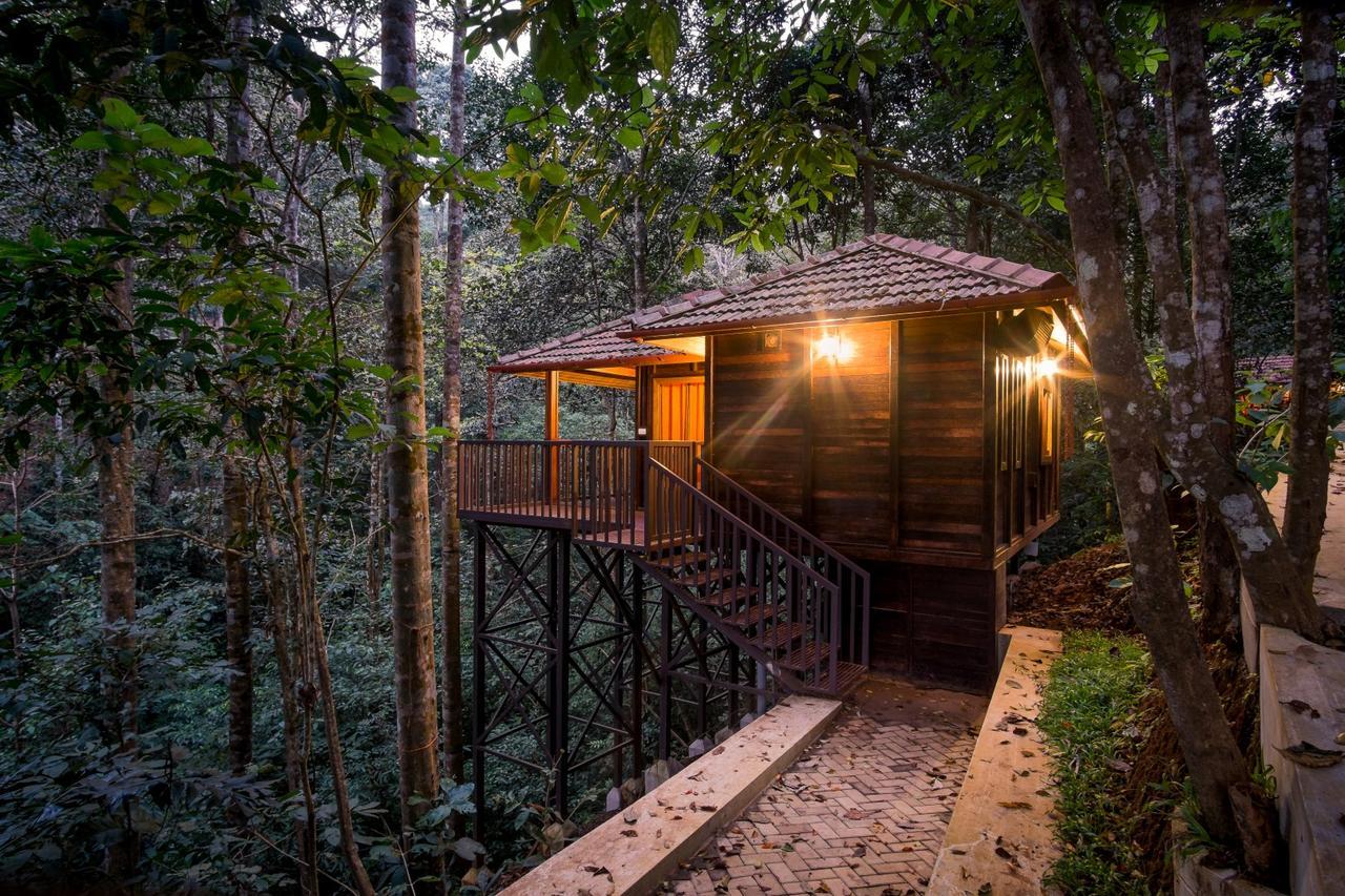 Wild Planet Jungle Resort Devāla Eksteriør billede