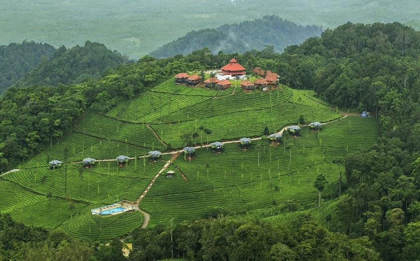 Wild Planet Jungle Resort Devāla Eksteriør billede