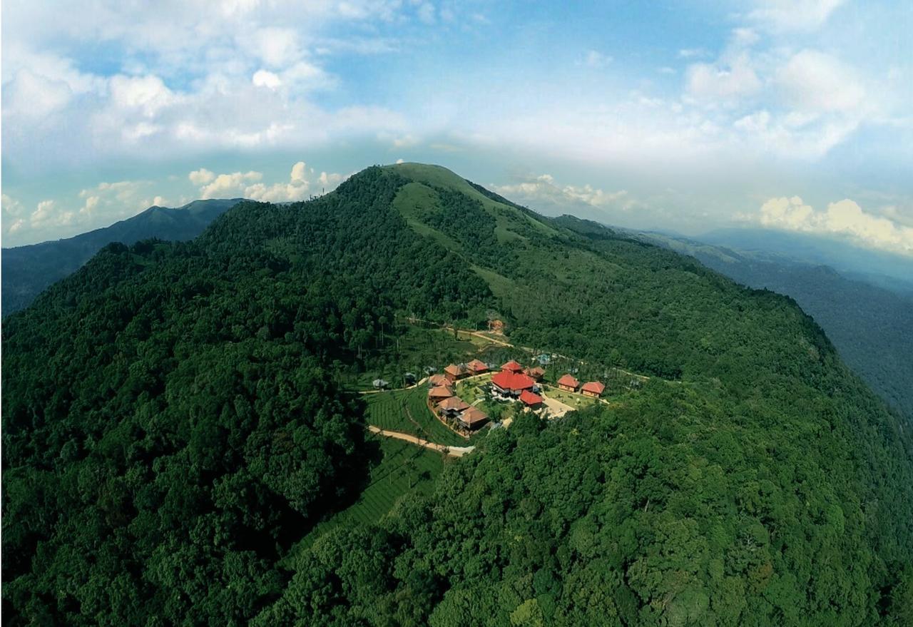 Wild Planet Jungle Resort Devāla Eksteriør billede