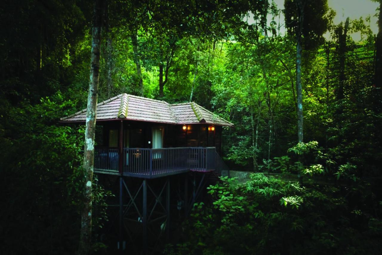 Wild Planet Jungle Resort Devāla Eksteriør billede